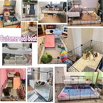 小動物用ケージ うさぎ・フェレット・チンチラ・モルモット　CLEARCAGE M Amazon.co.jp: パティオ・オーニング モルモットケージ